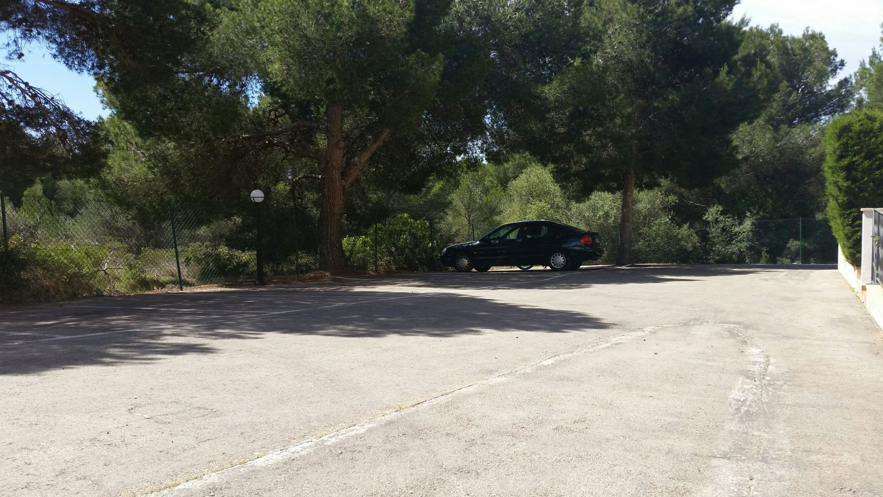 Parking a la sombra de los pinos
