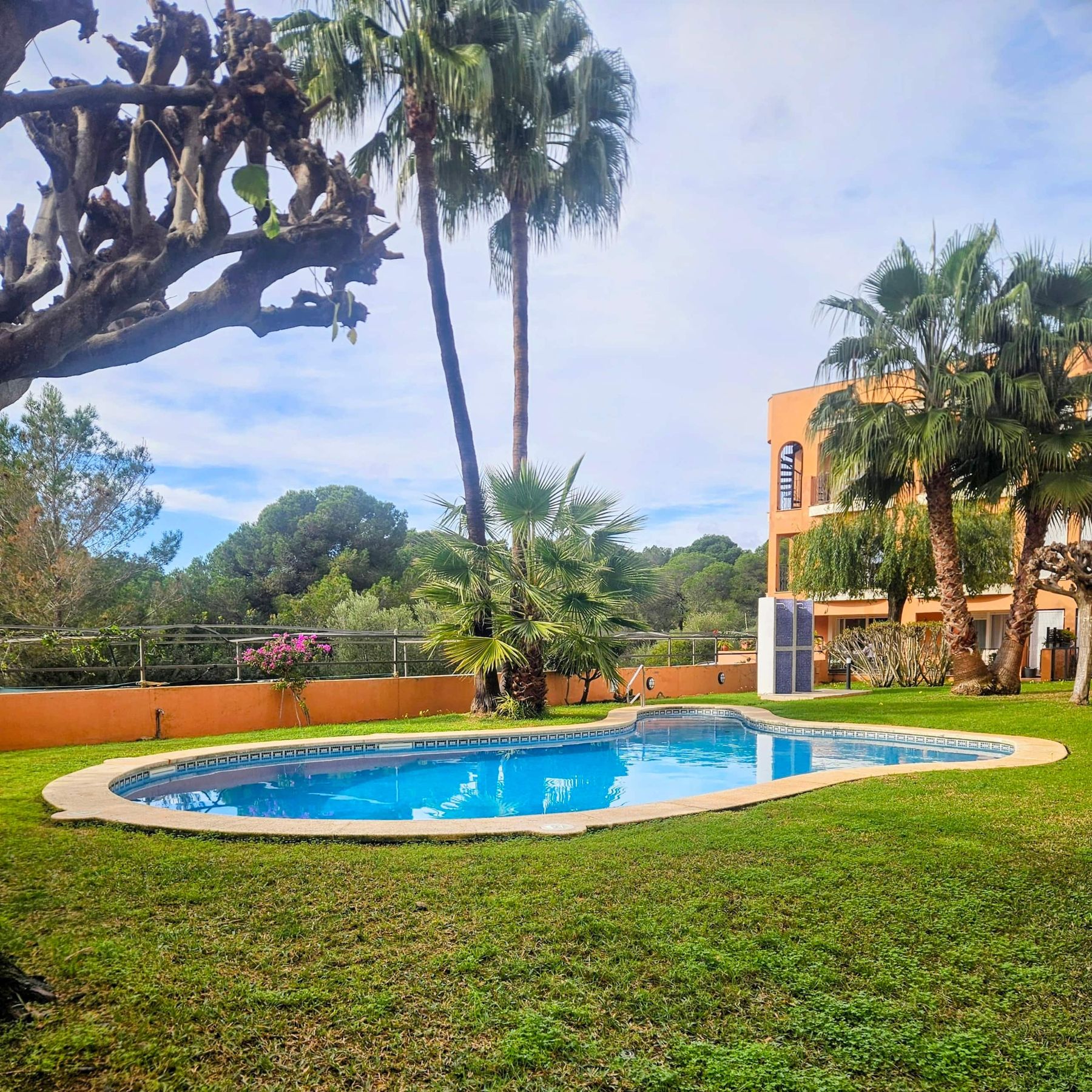 Piscina entre palmeras del apartamento en Vallgornera, Mallorca