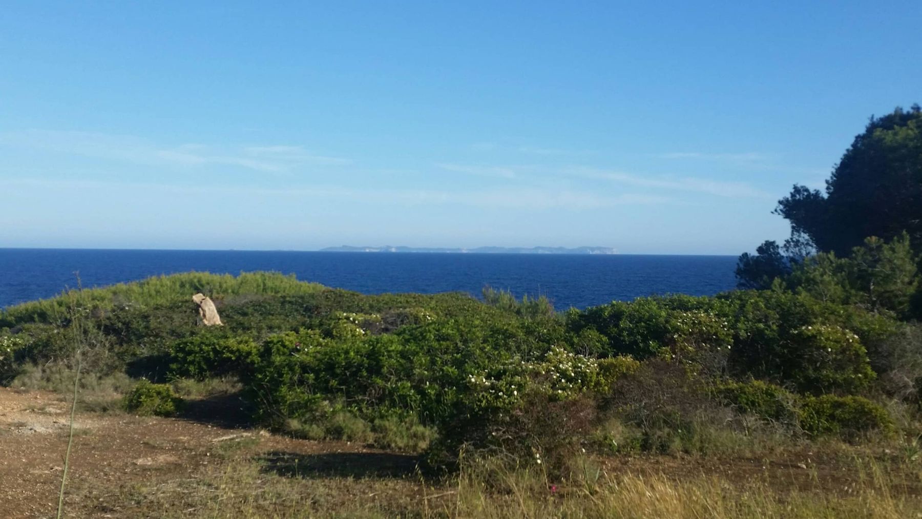 Vista de la isla de Cabrera